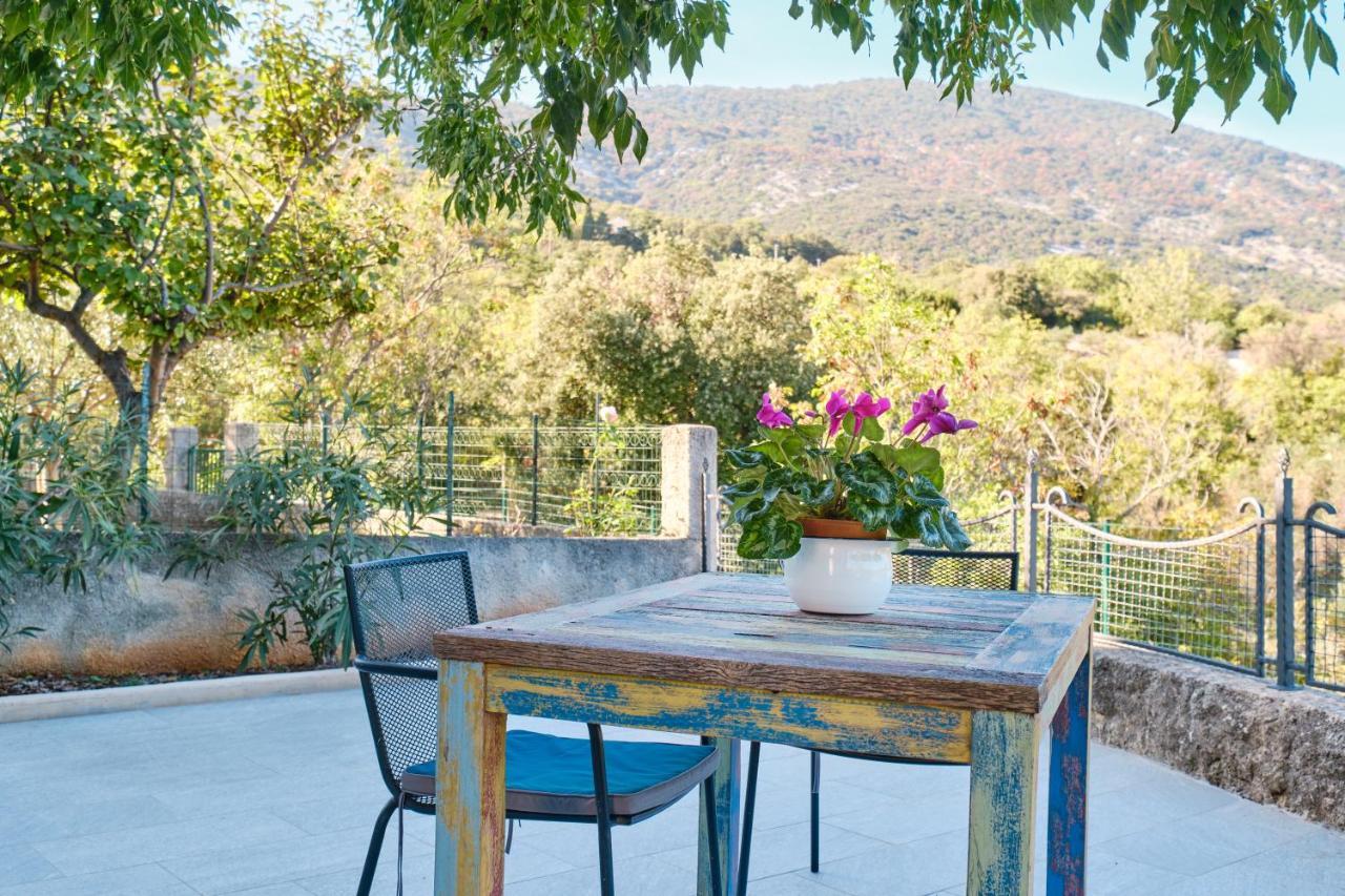 Domus Olivae Holiday home