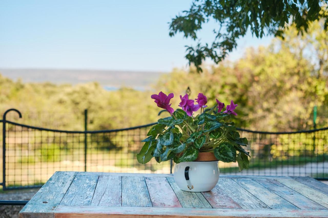 Holiday home Domus Olivae